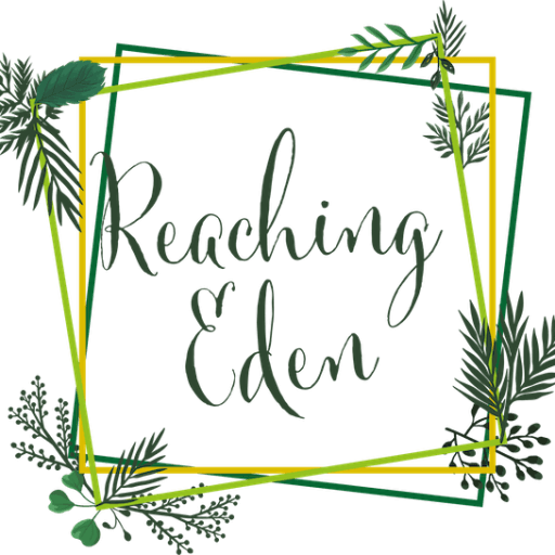 reaching 2 eden lyrics
